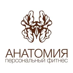 Анатомия